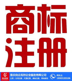 渝中代理記賬 向企而創，在線咨詢助力企業財務無憂
