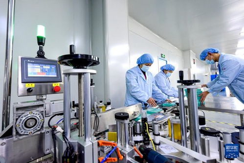 網(wǎng)絡(luò)技術(shù)驅(qū)動河北邱縣食品企業(yè)生產(chǎn)忙